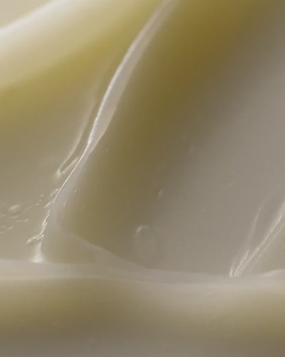 The Lip Balm